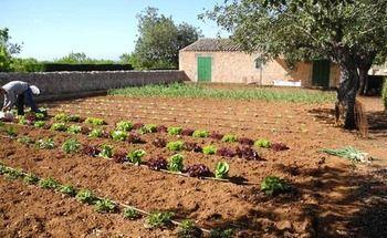 Casa de camp Casa Rural Son Bernadinet Campos (Mallorca)