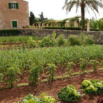 Casa de camp Casa Rural Son Bernadinet Campos (Mallorca)
