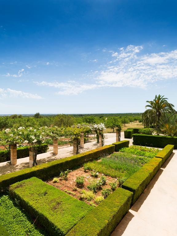Casa de Campo Son Bernadinet Campos (Mallorca)