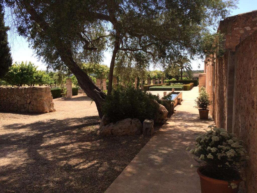 Casa de Campo Son Bernadinet Campos (Mallorca)